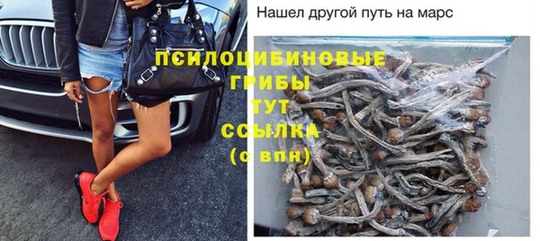 круглые Аркадак