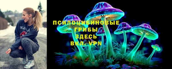 круглые Аркадак