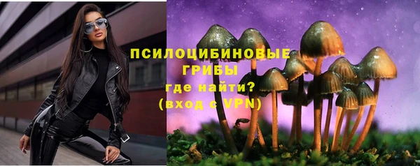 круглые Аркадак