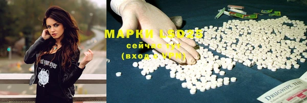 прущие крисы Арсеньев