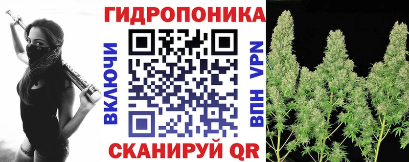 Купить где  Благодарный  Бошки Шишки Ganja 